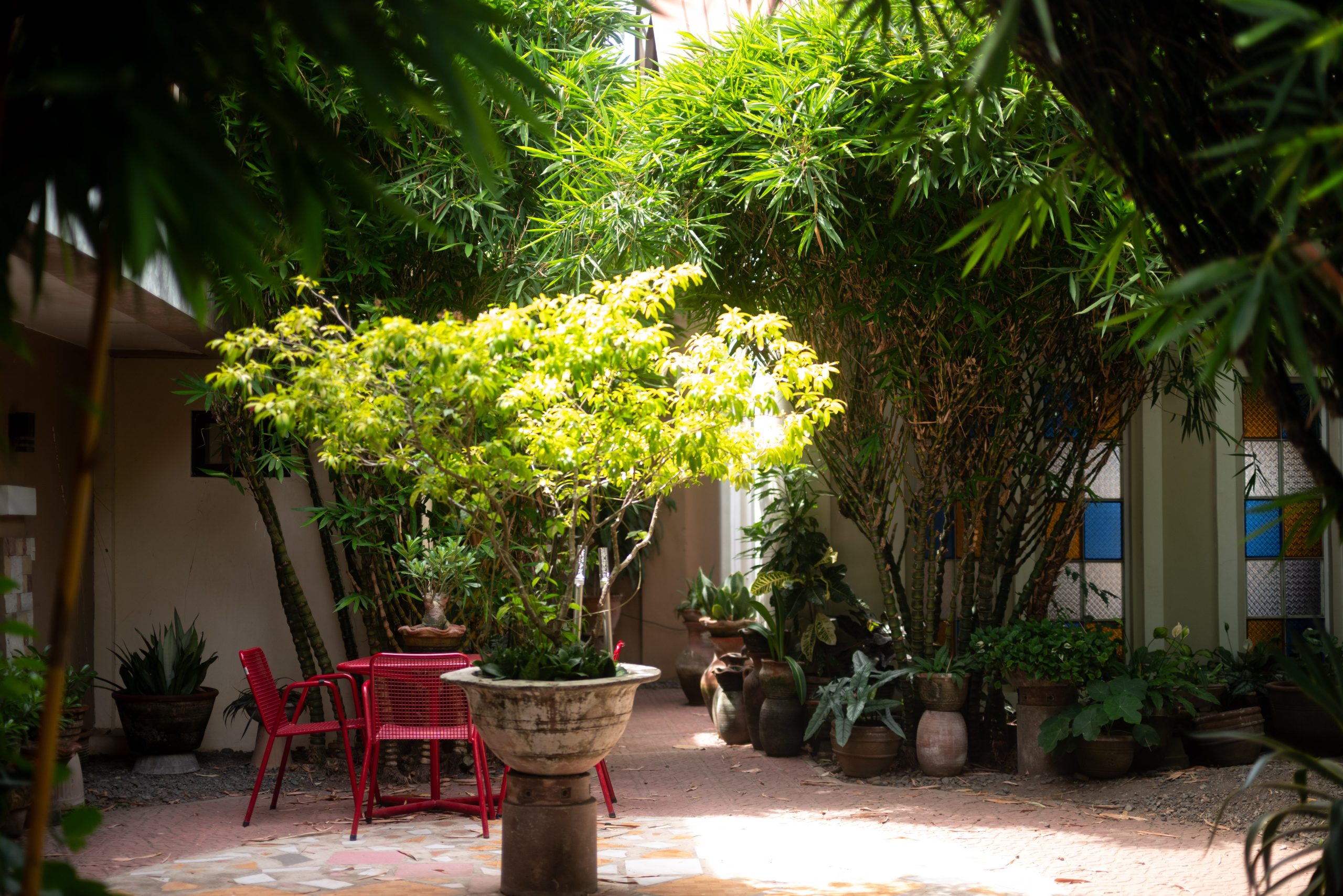 Hotel grounds at The Constantino Aurora Isabela